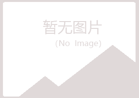 雁山区冰夏采矿有限公司